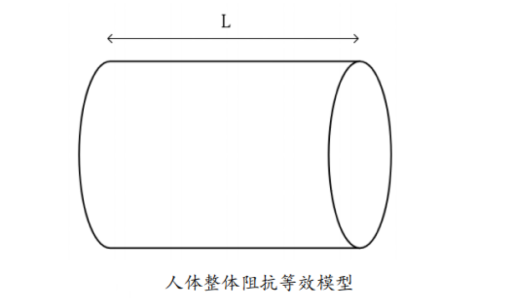 体脂的？数据准确吗？一起来了解瓦力娱乐棋牌体脂秤是怎么测出(图4)